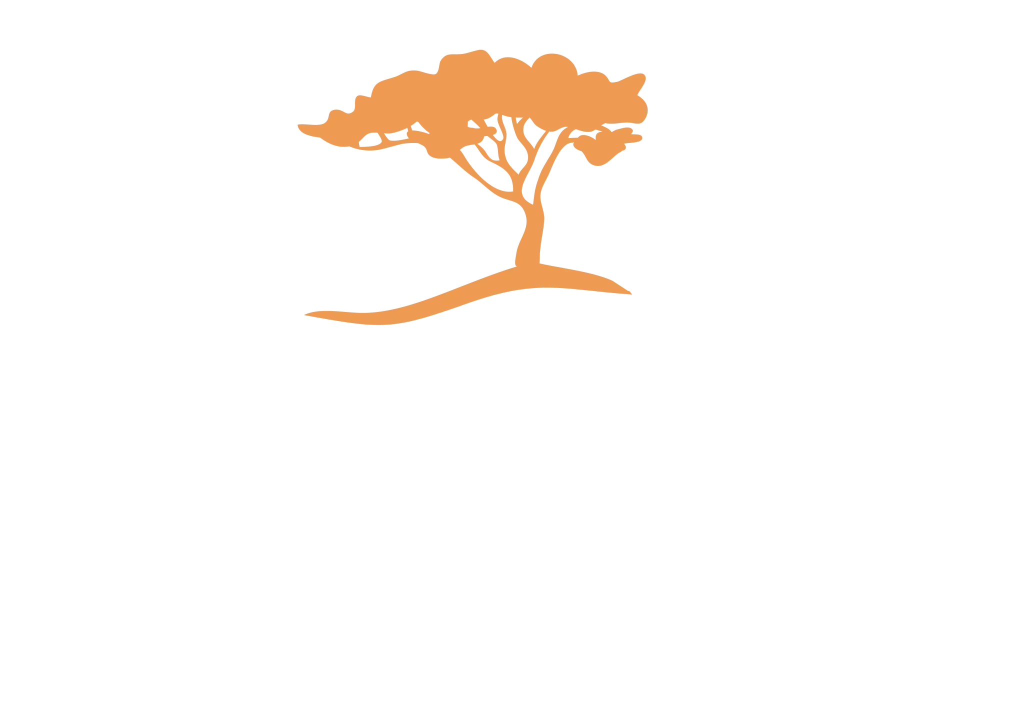Logo Giacomo représentant la silhouette d'un acacia orange sur fond blanc