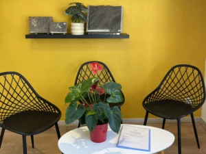 Espace d'accueil des familles chez Giacomo Funéraire avec fauteuils, fleurs et plaques commémoratives sur fond jaune