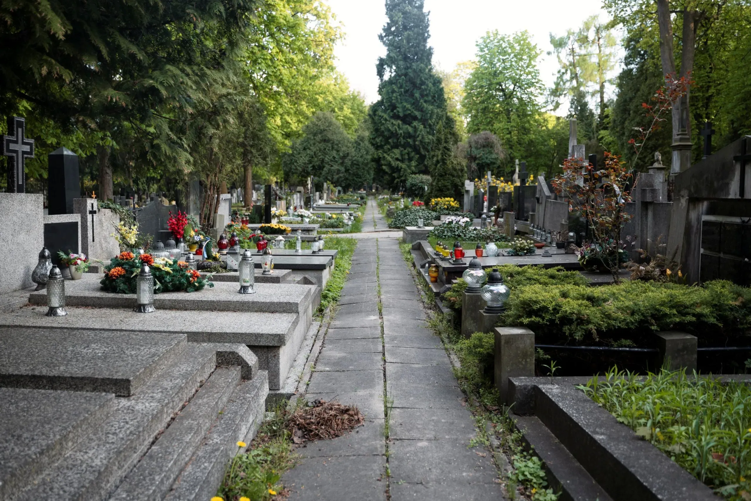 Allée bordée de tombes et de monuments funéraires fleuris dans un cimetière paysager